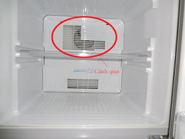Cánh quạt tủ lạnh chạy ngược nên không có hơi lạnh
