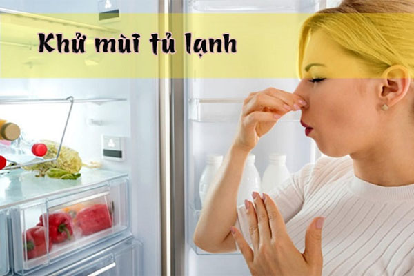 Chia sẻ cách khử mùi tủ lạnh lâu ngày không sử dụng