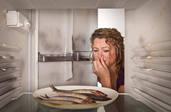 nguyên nhân và cách khắc phục khi ngăn đá tủ lạnh có mùi