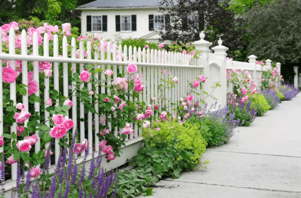 Hàng rào nhà đẹp bảo đảm được sự riêng tư cần thiết