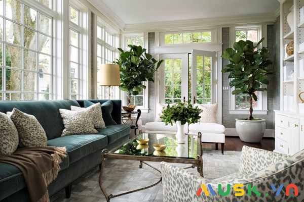 Đưa cây xanh vào không gian nội thất