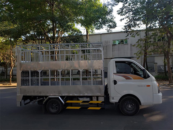 Xe tải chở heo Hyundai H150 1.5 tấn