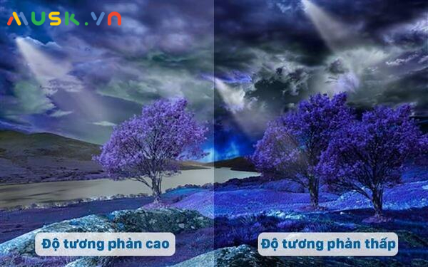 Độ tương phản máy chiếu