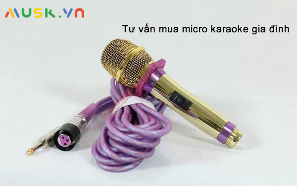 Tư vấn mua micro karaoke gia đình chất lượng cao, giá thành tốt