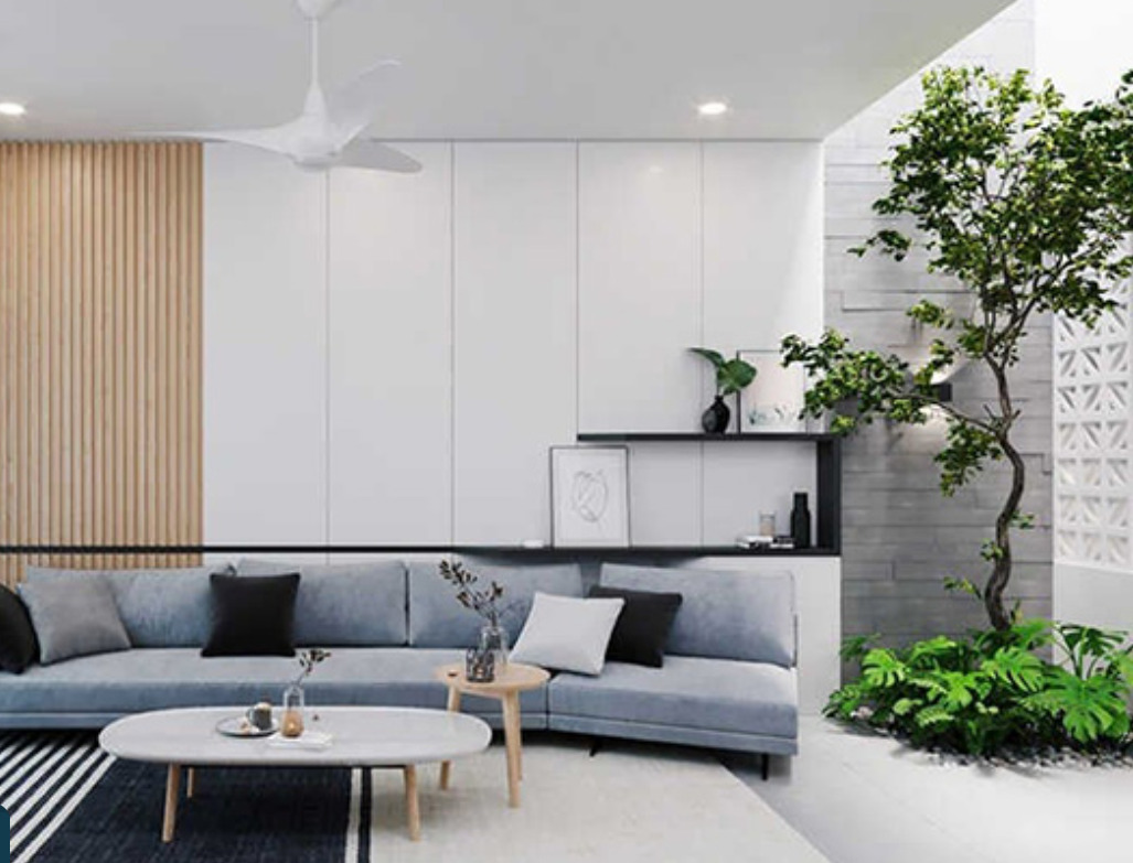 Phòng khách được trang trí cây cối tạo không gian sống xanh