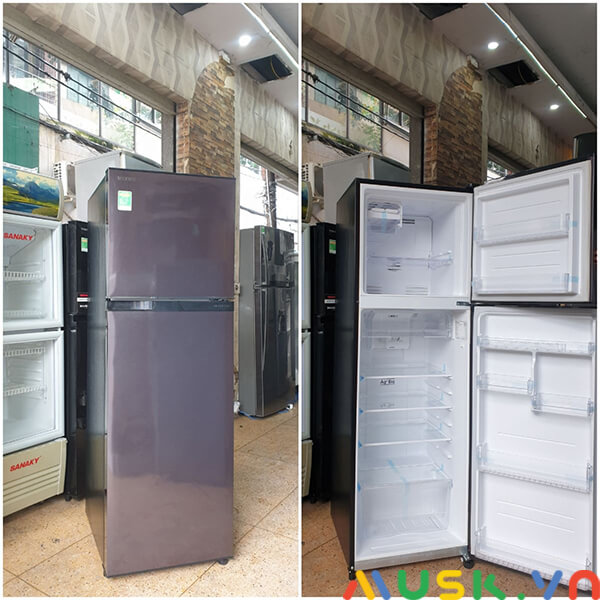 đa dạng các dòng tủ lạnh được thu mua tủ lạnh huyện cần giờ