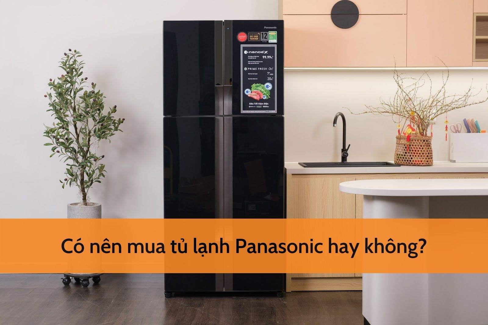 Có nên mua tủ lạnh Panasonic không là thắc mắc chung của nhiều người