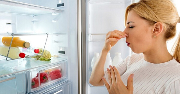 Giải pháp cho tủ lạnh có mùi hôi