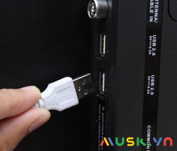 Các cổng USB được tích hợp trên tivi LG