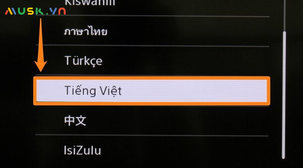 Sử dụng tiếng Việt