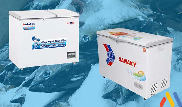 Nên mua tủ đông Sanaky hay Alaska? Chọn tủ 1 ngăn hay 2 ngăn?