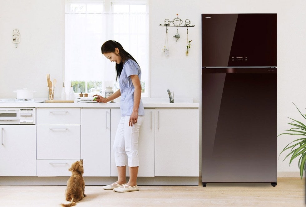 Tủ lạnh Toshiba có tốt không? Thương hiệu tủ lạnh mang chất lượng Nhật