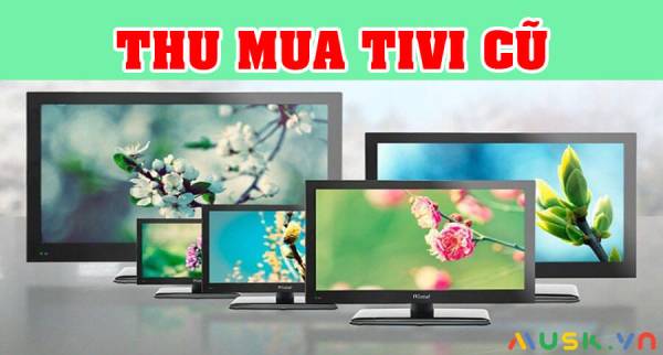 Dịch vụ thu mua tivi tại quận Gò Vấp có thu mua số lượng nhiều không?